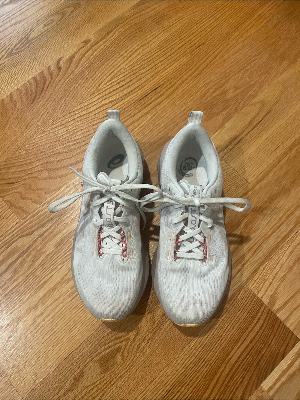 Asics Novablast 5 Sneakers